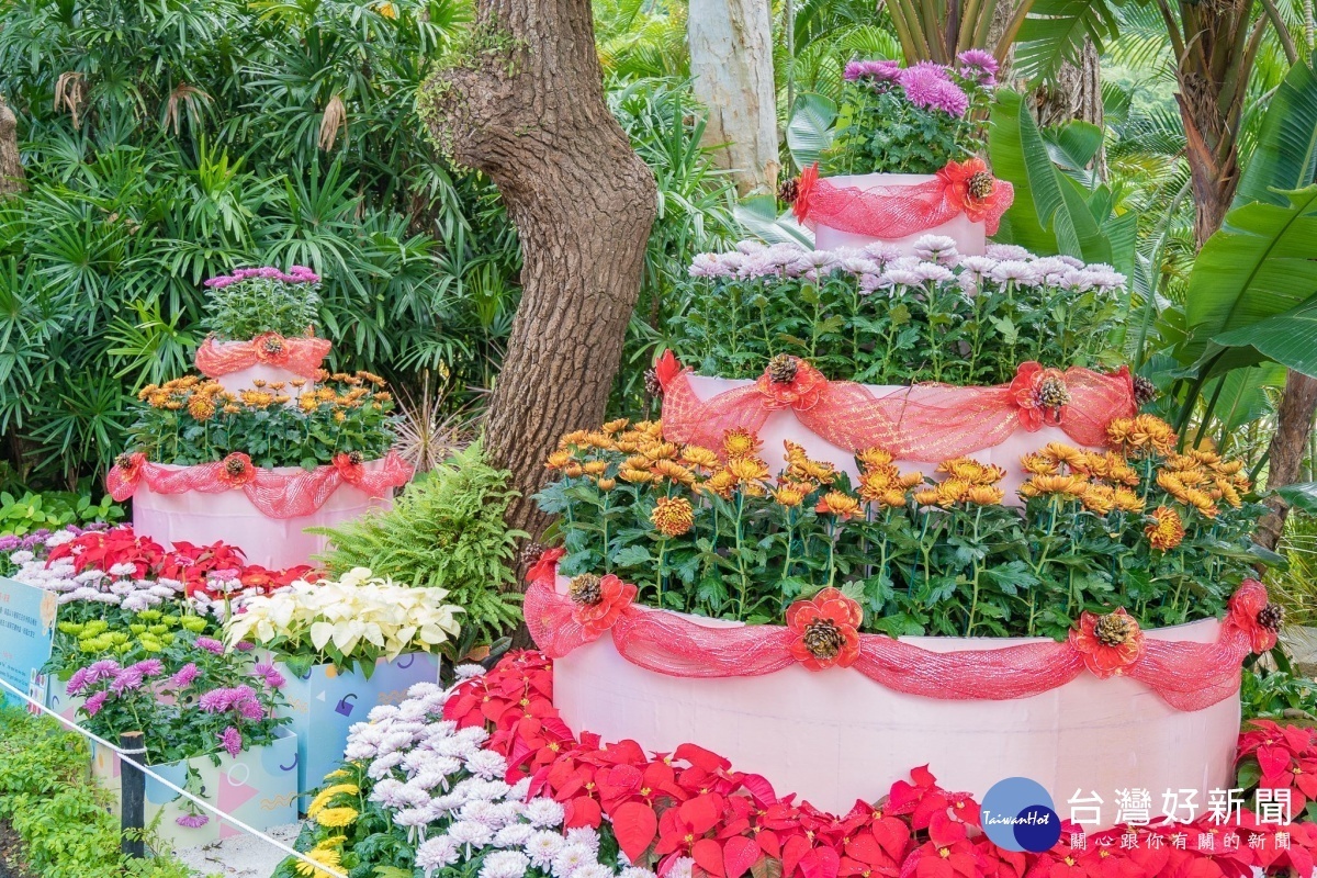 「生日快樂」以9種菊花新品種妝點兩座高2.6米及1.8米的大蛋糕（圖／台北市公園處提供）
