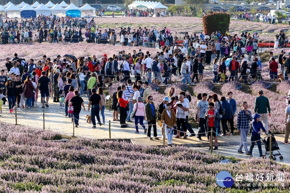 桃園仙草花節於11月23日至12月8日開展，為期16天的活動以「花漾楊梅仙境遊」為主題。