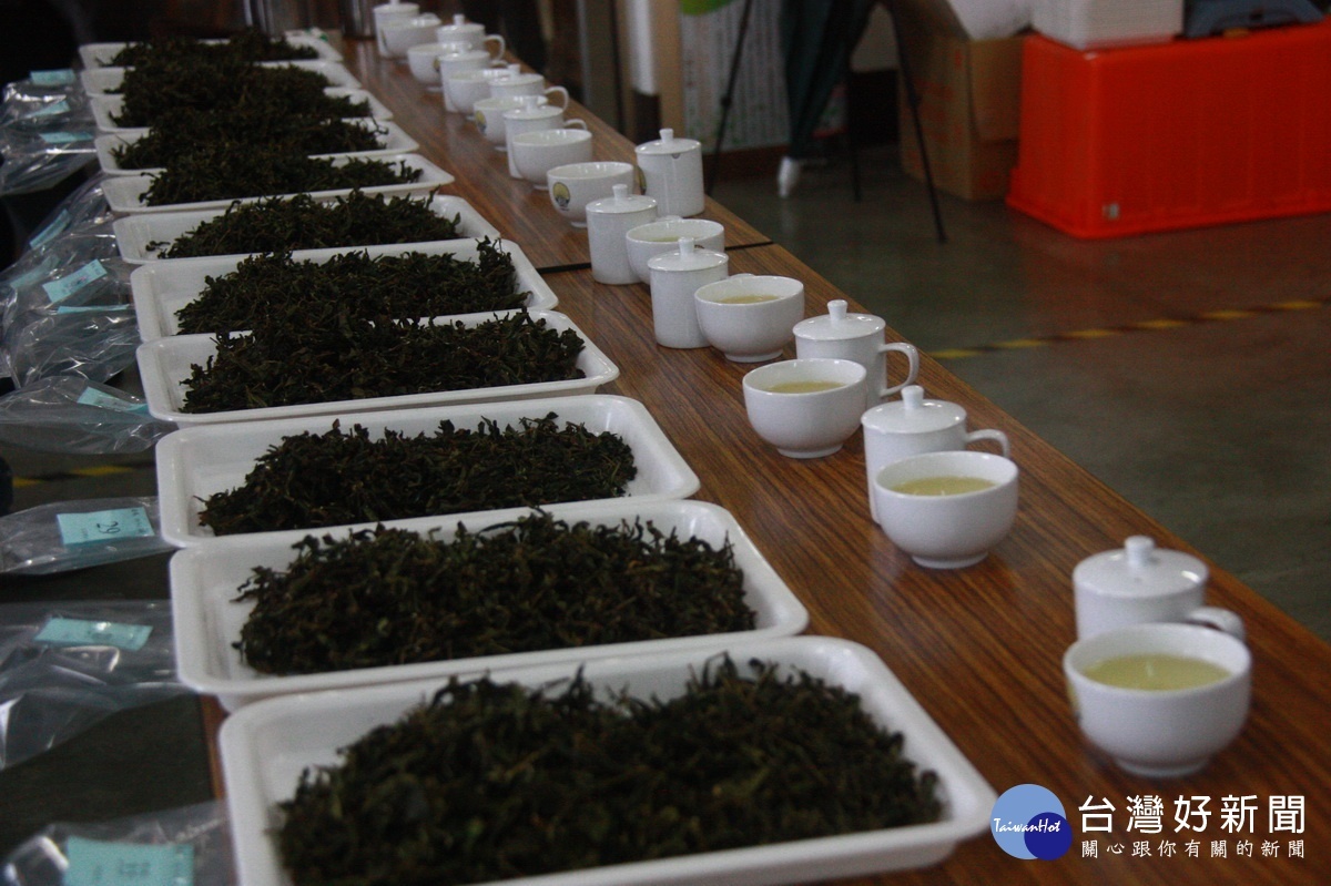 冬片茶以條型製成，帶有特有的香氣。（記者扶小萍攝）