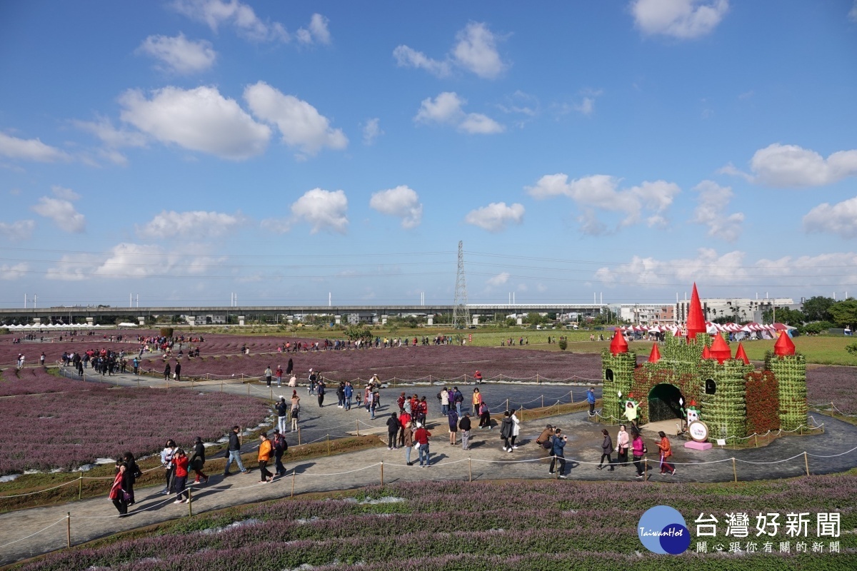 「2019桃園仙草花節」於楊梅區上湖派出所對面花田舉辦。
