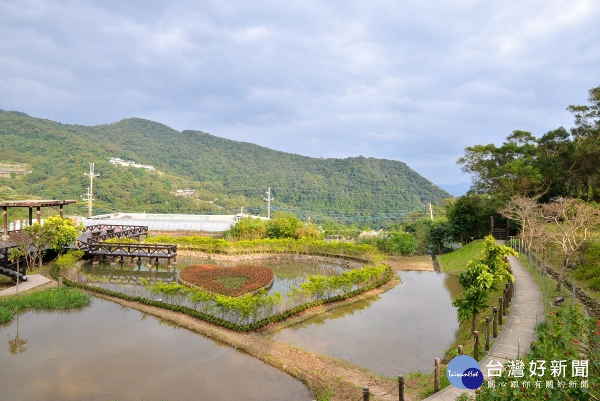 換上新衣的同心池（圖／台北市大地處提供）