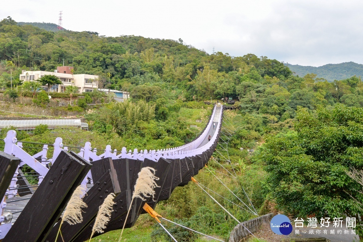 白石湖吊橋(圖/台北市大地處提供)