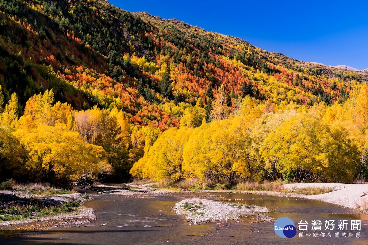秋季時節河畔的落葉會把河變成絢爛的金銀海洋。（圖／喜鴻假期提供）
