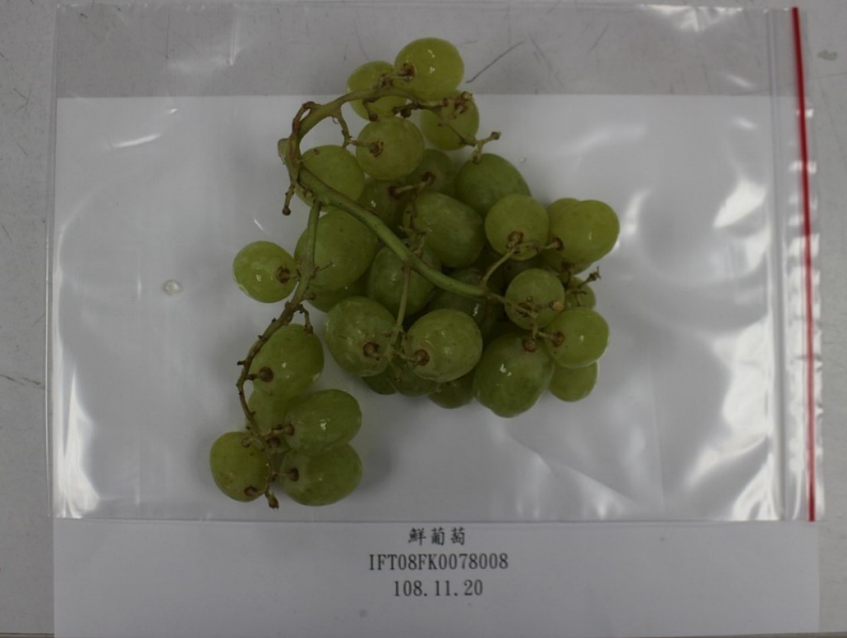 白木屋食品進口自美國的一批鮮葡萄，因被檢出農藥賽扶寧殘留超標，有多達12.93公噸的貨品被食藥署退運或銷毀，未流入至市面上。（圖／衛福部食藥署）