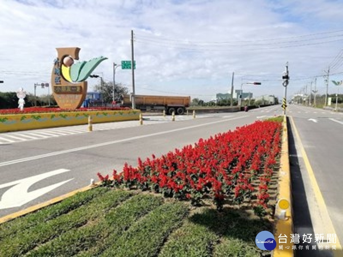 甲后路三段分隔島