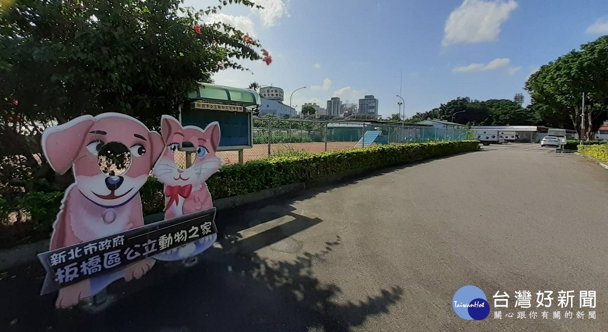 板橋動物之家園區內沿路綠樹扶蔭，犬貓吠啼聲不絕於耳，憂鬱患者陳先生常常去關心探視那些面容純真可愛充滿正能量的貓咪及狗兒來轉化他鬱悶情緒