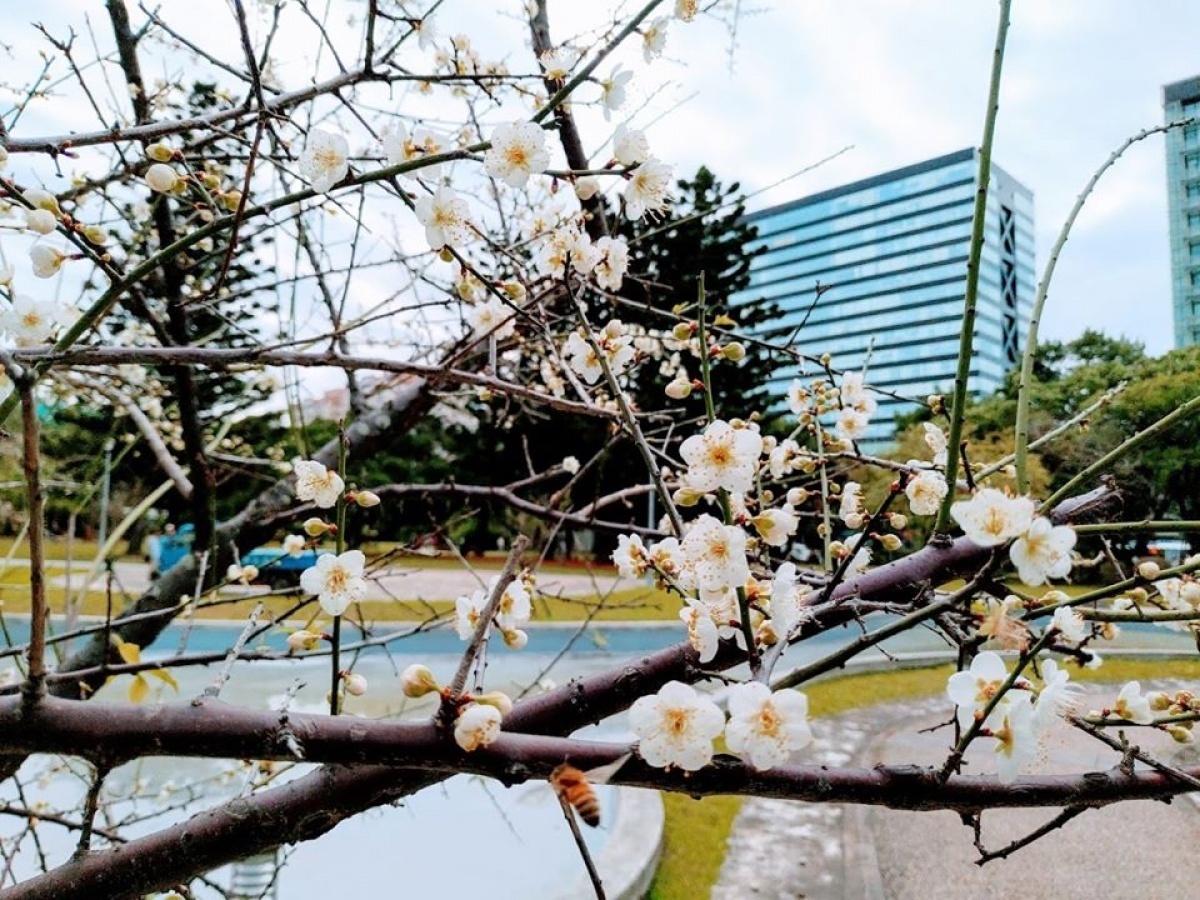 （圖／北市府工務局公園路燈工程管理處）