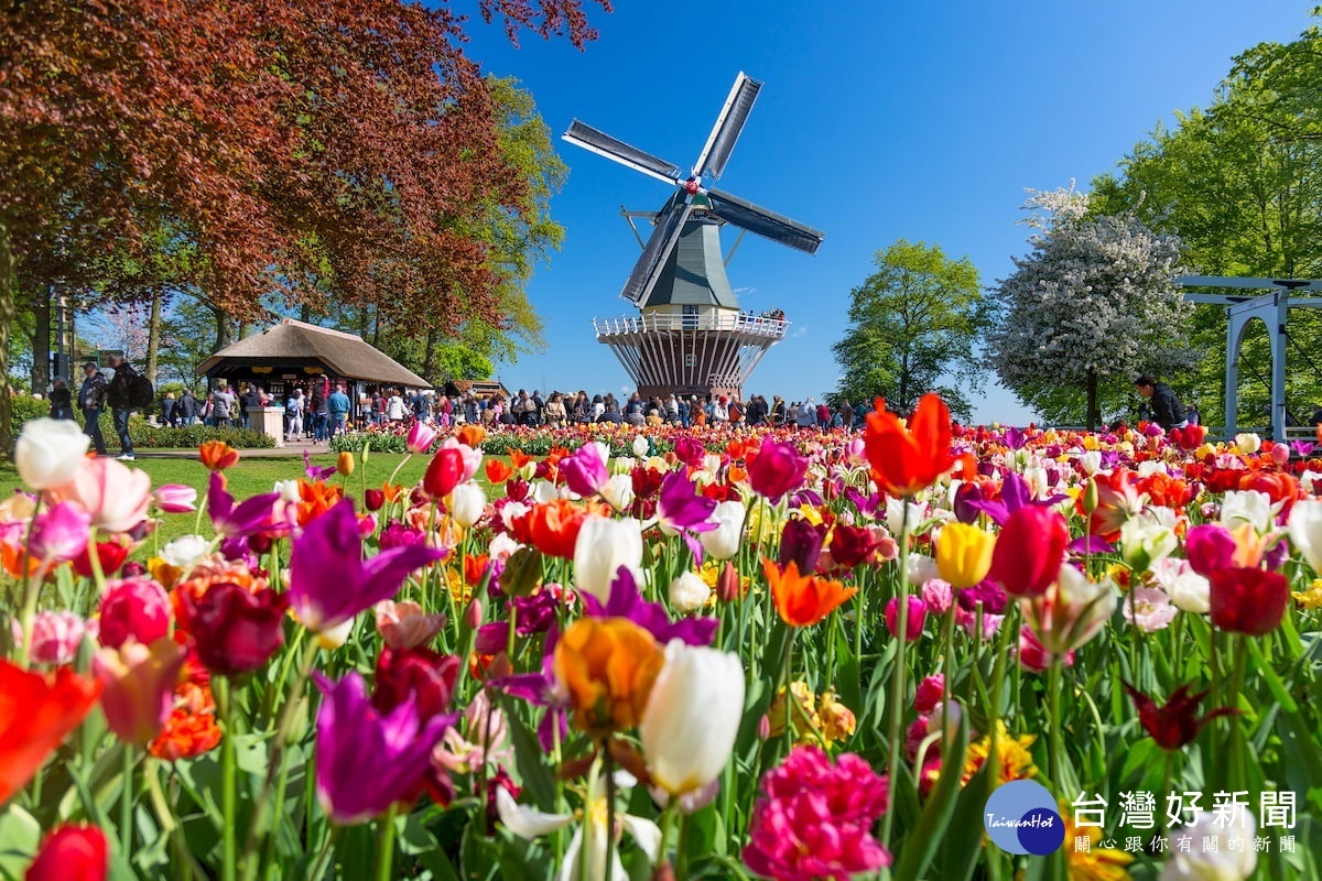 庫肯霍夫公園是世界上最大的展覽花園，有上萬株鬱金香及其他球莖花卉。（圖／喜鴻假期提供）
