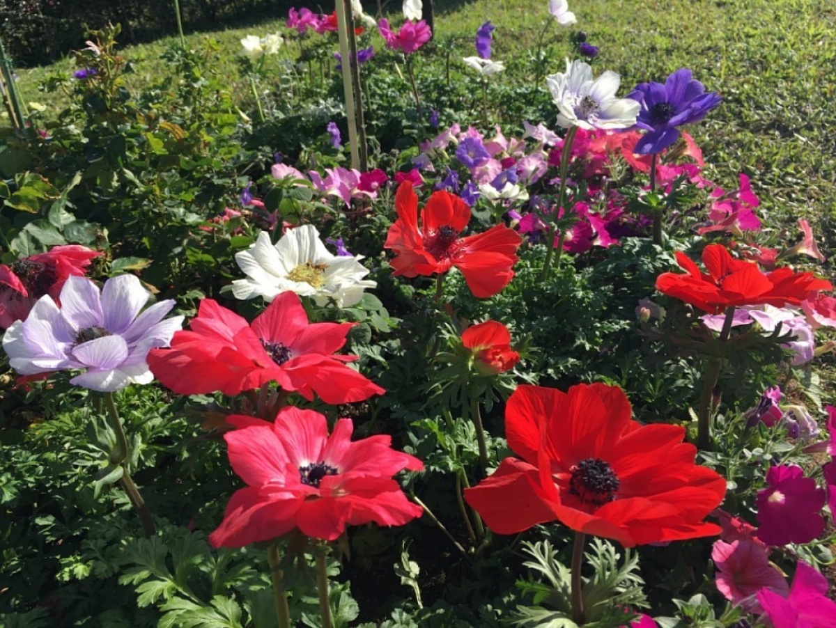 (圖/台北市府工務局公園路燈工程管理處)