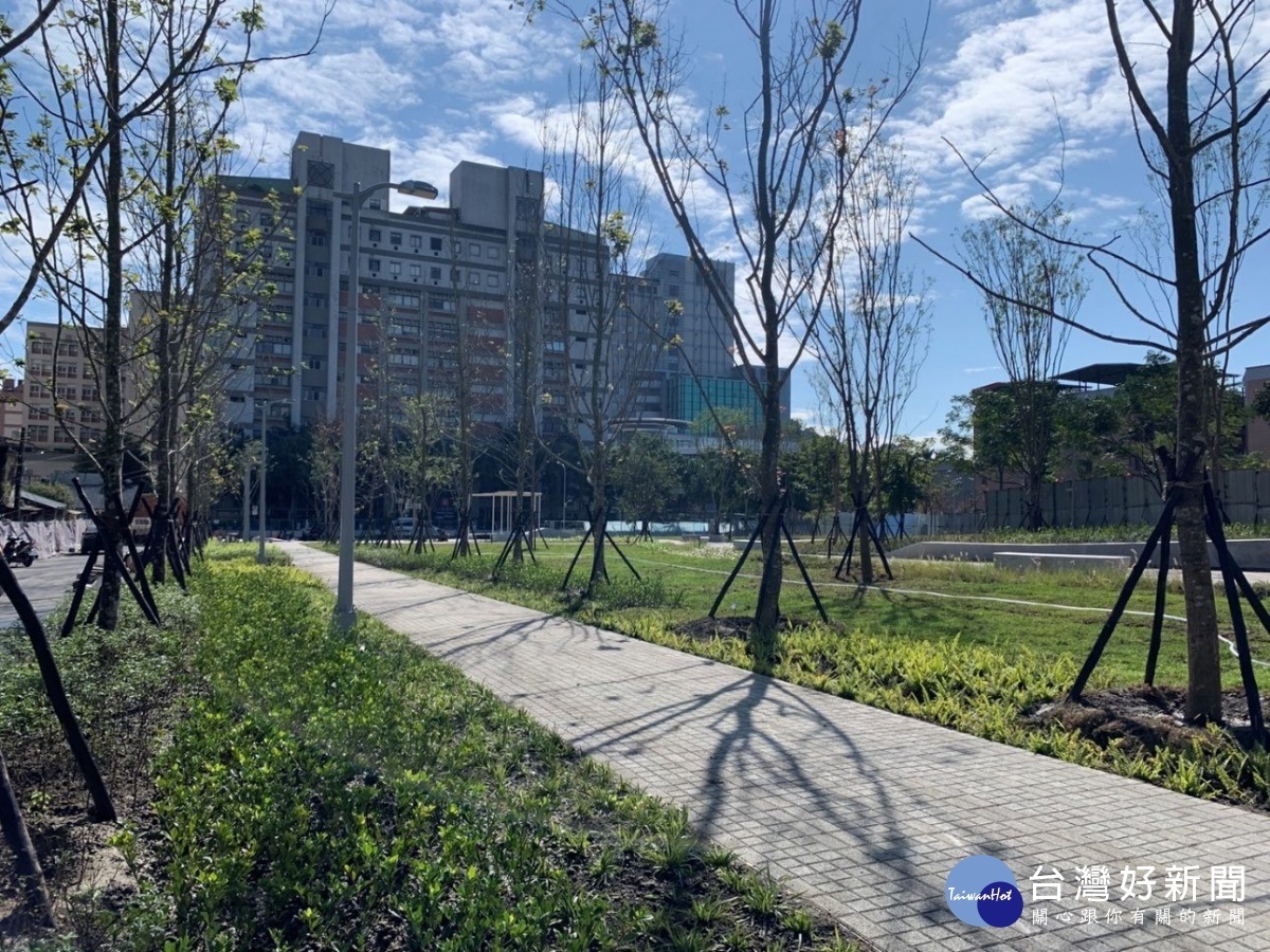 栽植楓香樹陣,營造都市森林之感。(圖/台北市公園處提供)