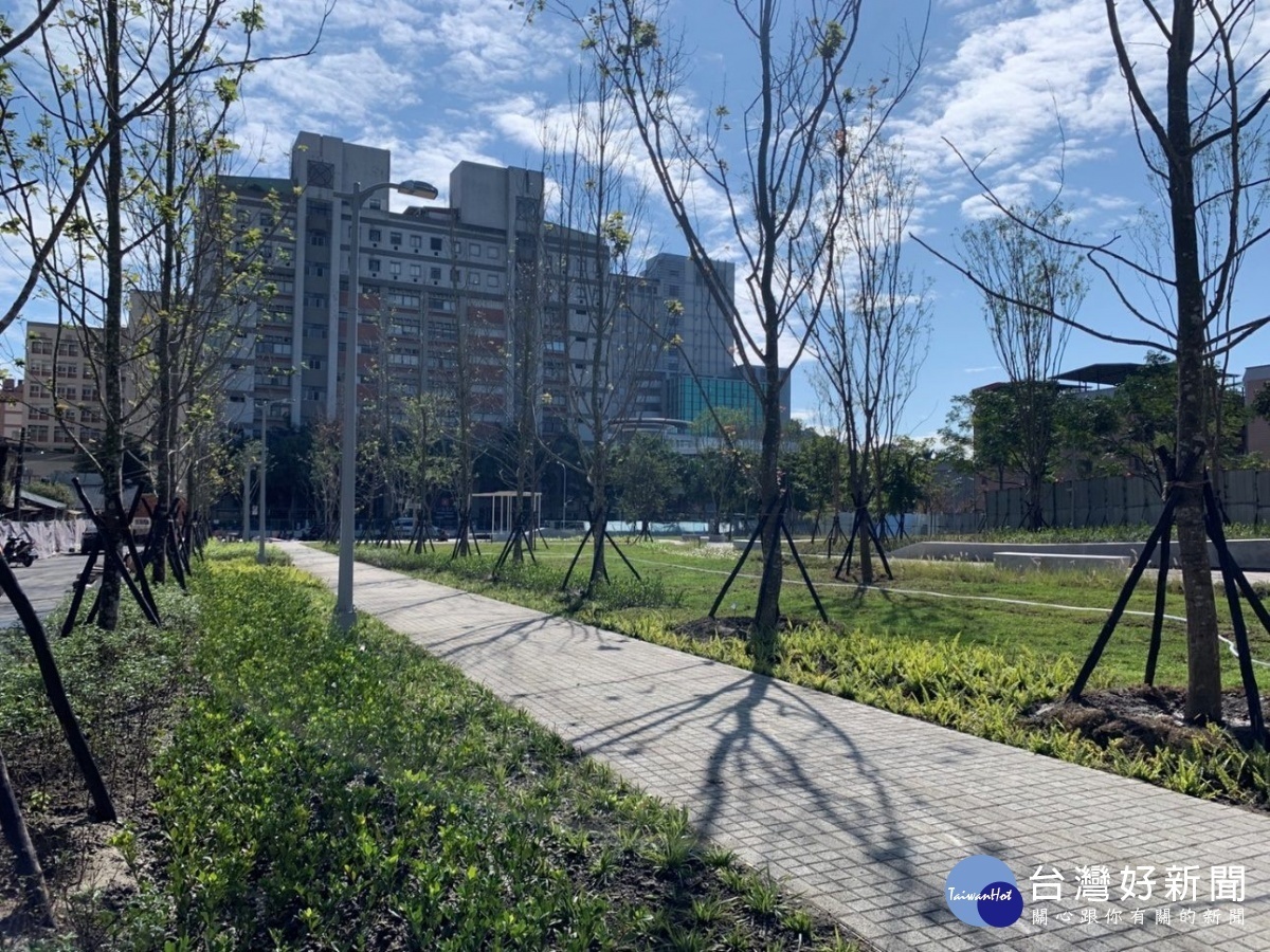 栽植楓香樹陣，營造都市森林之感。（圖／台北市公園處提供）