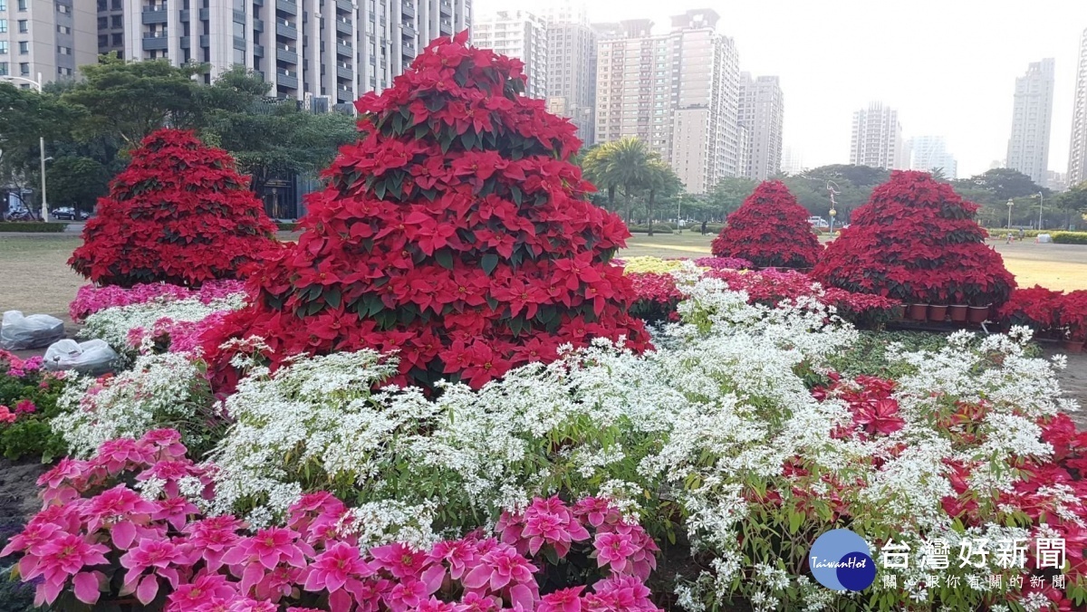 特專一二（圖／高雄市政府提供）