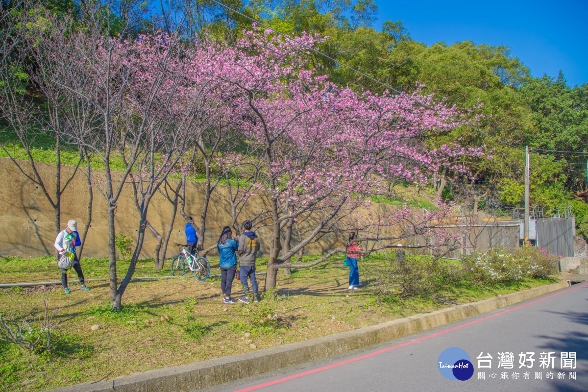 董事長林正峰歡迎信眾們，大家一起在2月8日到壽山巖觀音寺「白天賞櫻花、晚上慶元宵摸大獎」。