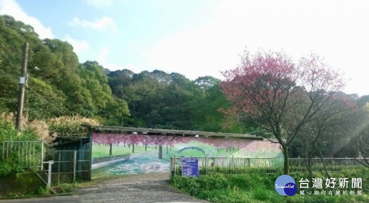 三芝公立動物之家是賞櫻時絕對不可錯過的秘境景點