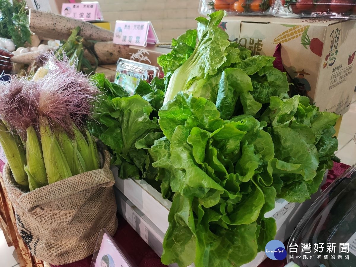 圖/記者鄧富珍攝
