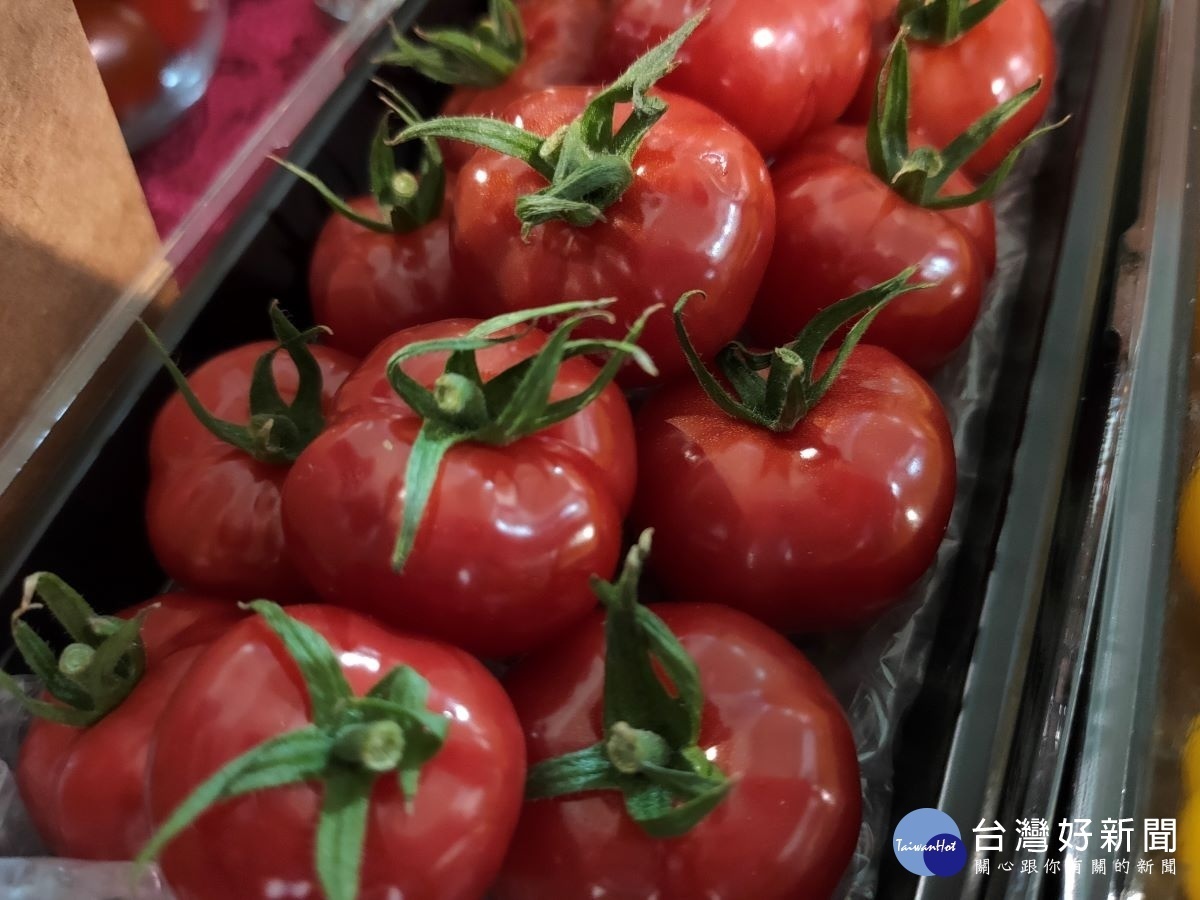 來自日本的新品種迷你「紅寶」口感香甜綿密。圖/記者鄧富珍攝