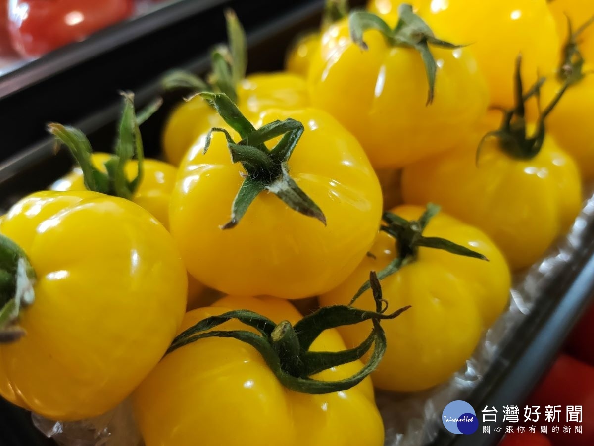 來自日本的新品種迷你「黃寶」甜美清香。圖／記者鄧富珍攝