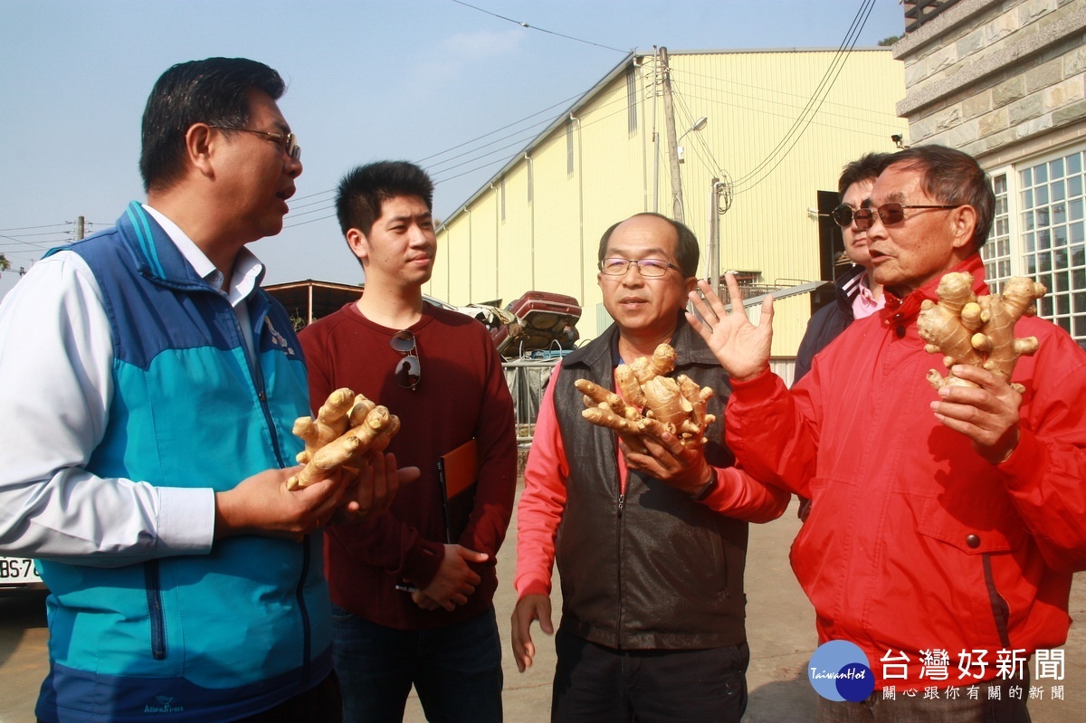 農業處長陳瑞慶（左）關切生薑銷路。（記者扶小萍攝）
