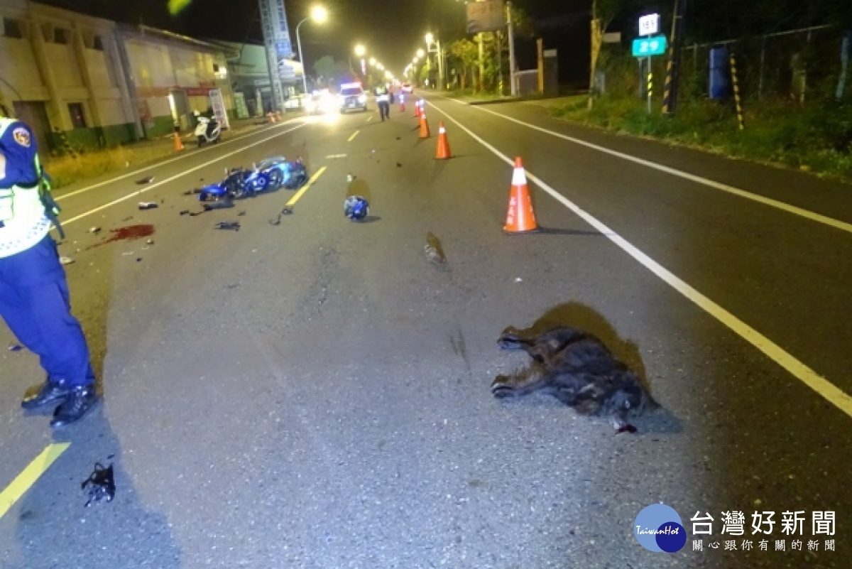 因動物亂竄導致駕駛人發生交通事故/縣警局提供
