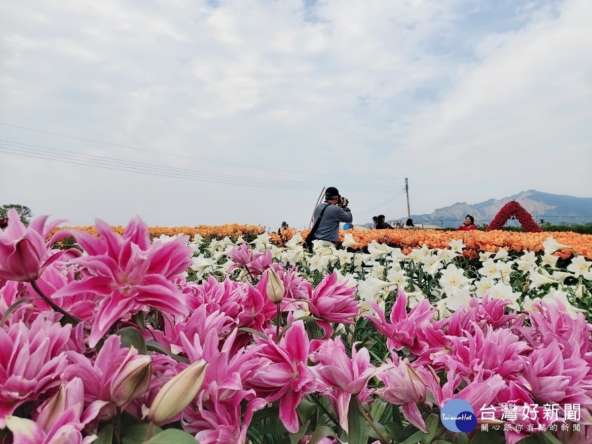 佔地遼闊，無邊無際的花海讓人心曠神怡。