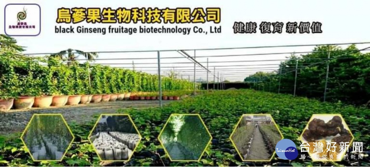▲烏蔘果生物科技栽植園區。(圖/烏蔘果生技提供)