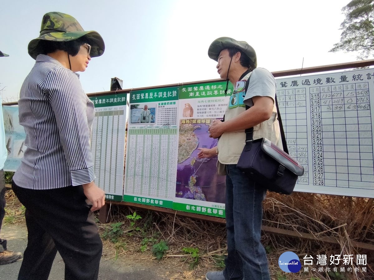 彰化縣長王惠美前往八卦山賞鷹平台,瞭解灰面鵟鷹過境解說。圖/記者鄧富珍攝