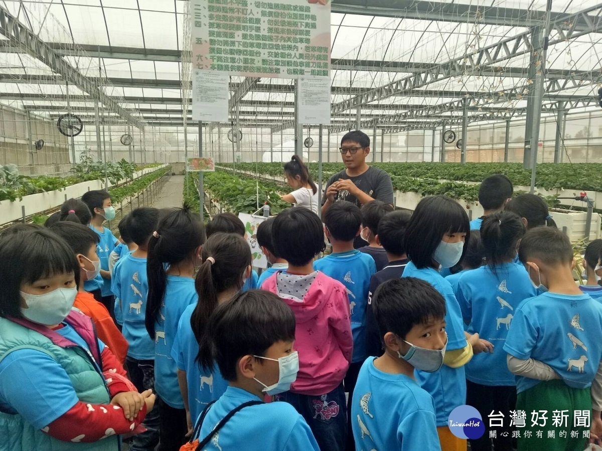 文德國小開心採莓「趣」 學生行中求知體驗學習
