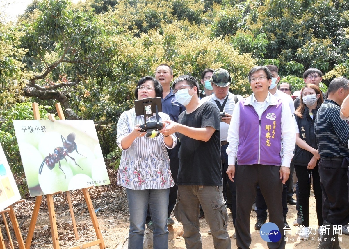 彰化縣長王惠美視察荔枝椿象防治情形,瞭解無人機防制操控情形。