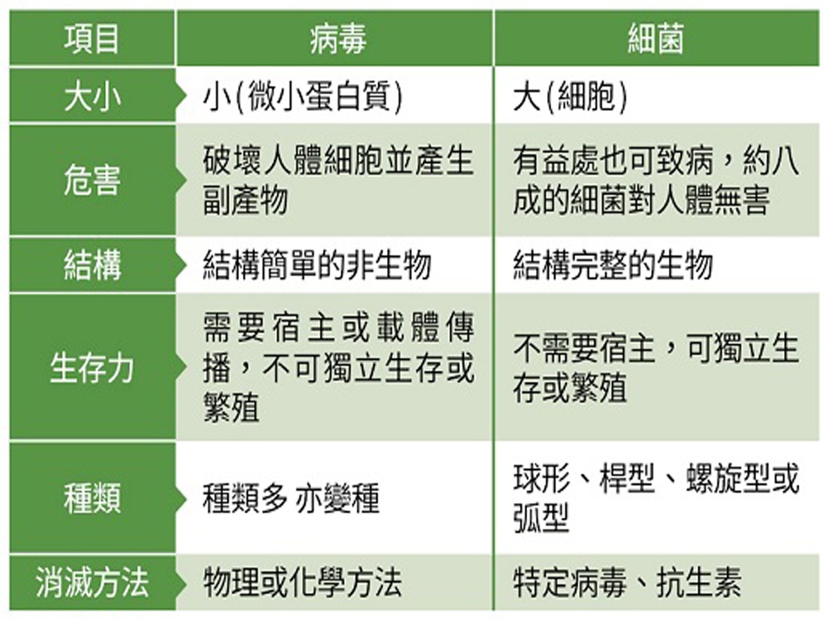 病毒與細菌比較表（資料來源：維基百科／新聞中心整理）