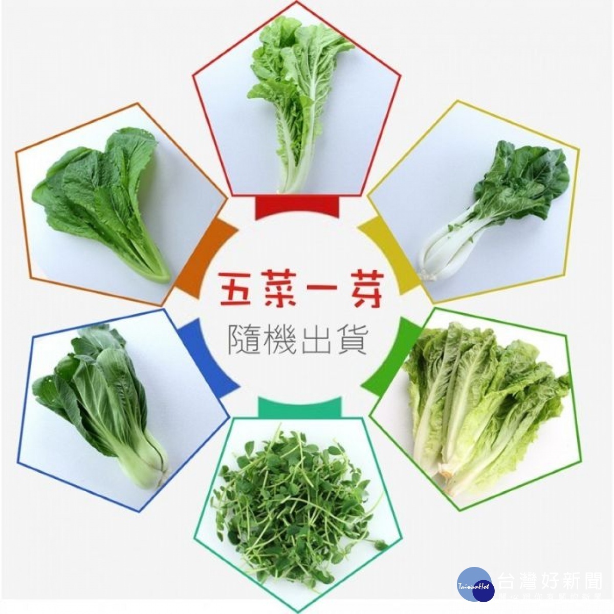 桃園在地優質蔬菜箱,歡迎大家上網選購。
