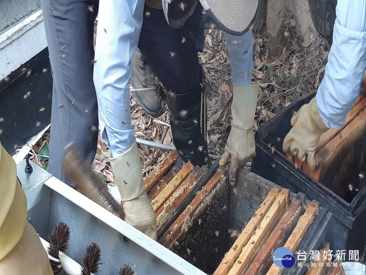 社頭農會總幹事上網狂貼文 介紹青農文章竟達二萬瀏覽率