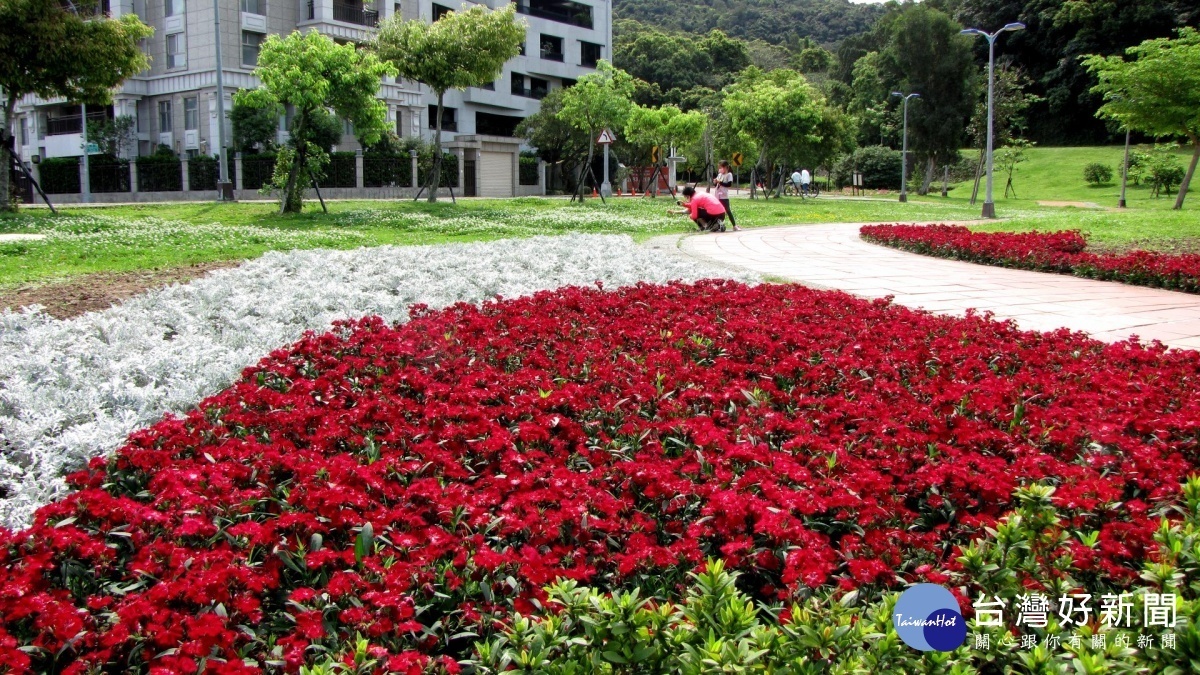 福林路旁花壇大紅色的五彩石竹與銀葉菊塑造視覺焦點（圖／台北市公園處）