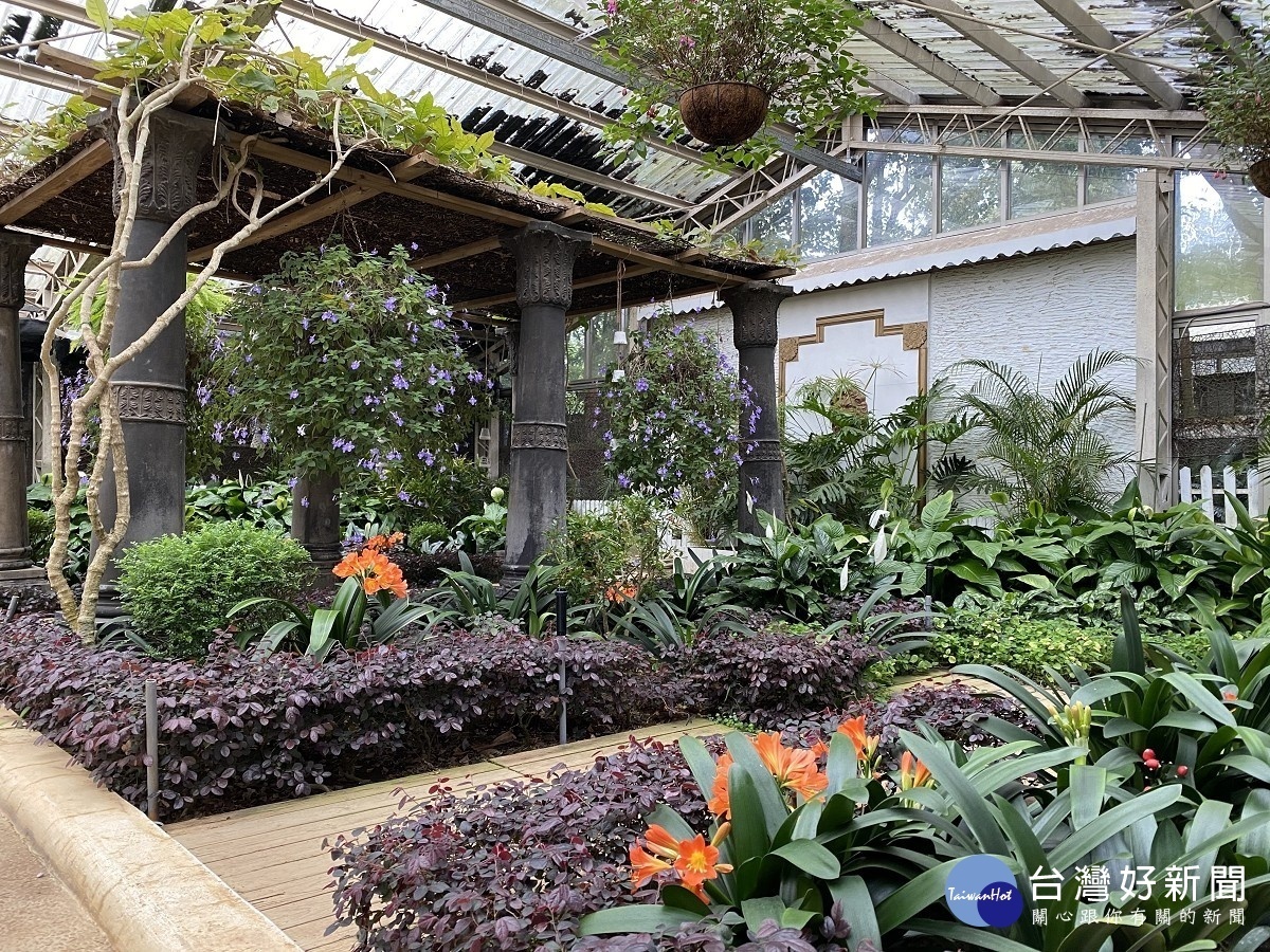 花卉試驗中心一隅與君子蘭(球根花卉)（圖／台北市公園處）