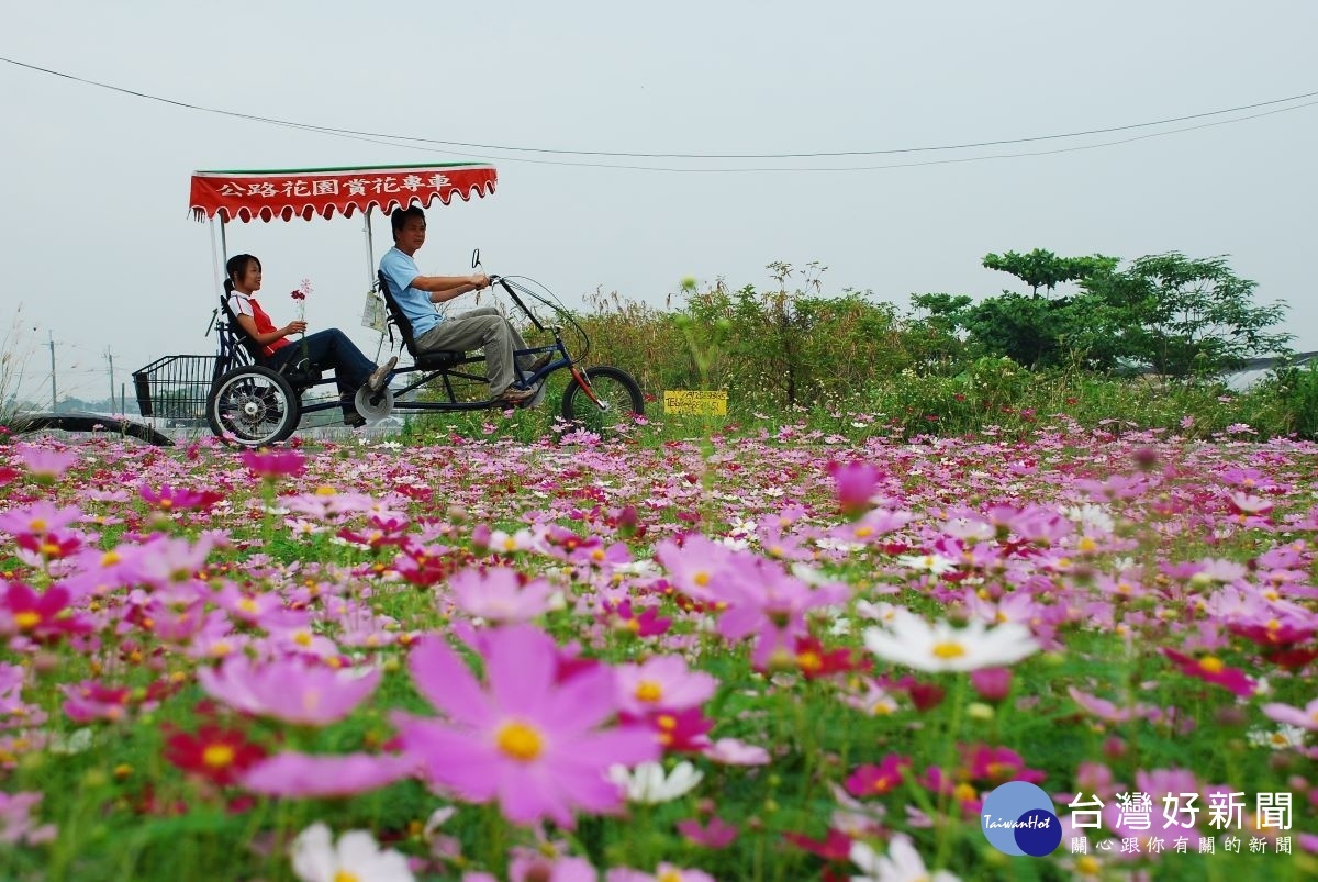 田尾公路花園景觀。