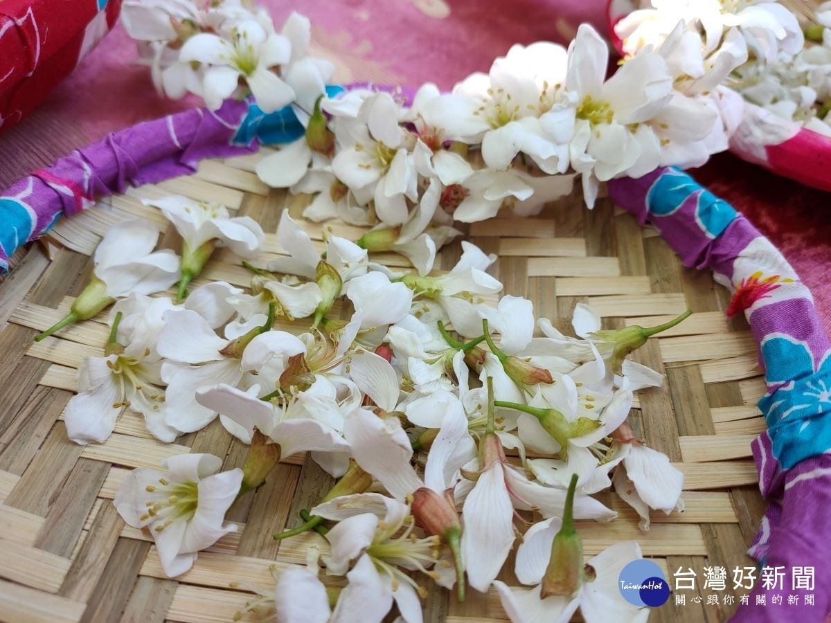 圖/記者鄧富珍攝