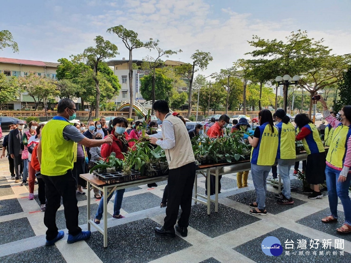 大批民眾前往索取撤展蘭花。