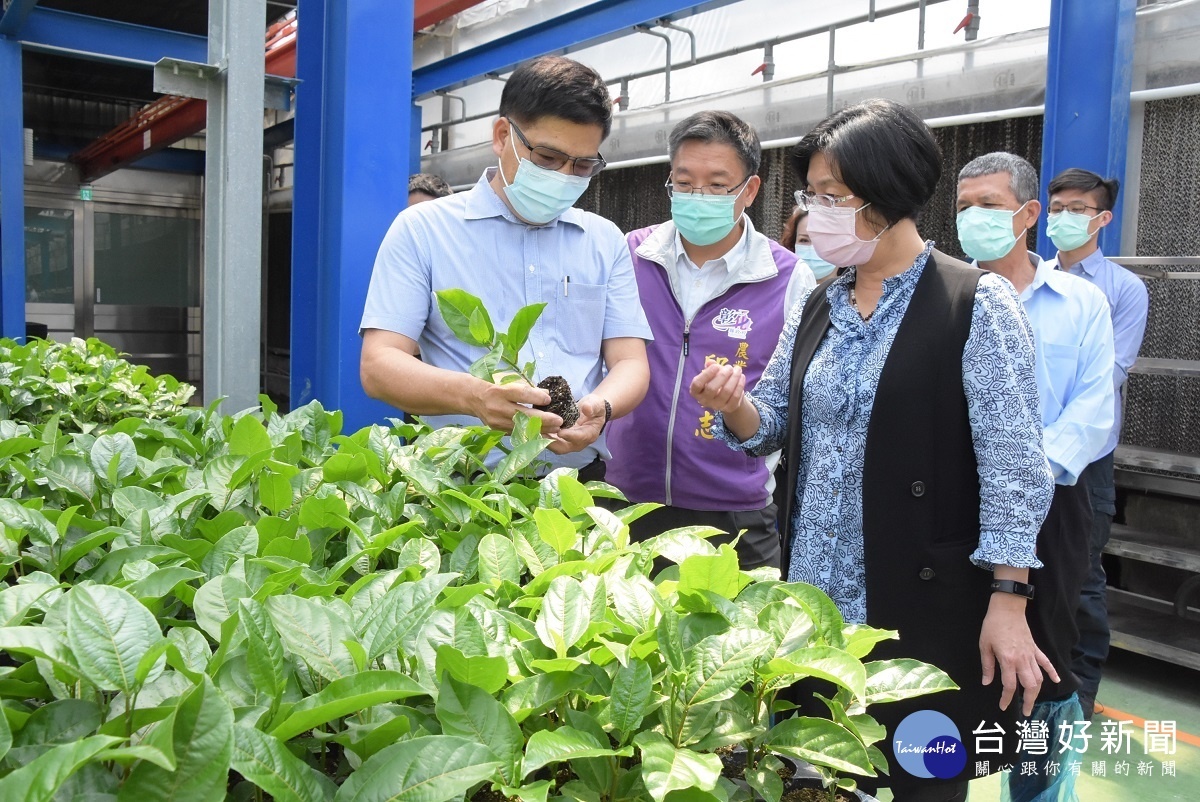 縣長王惠美參訪台香種苗場。