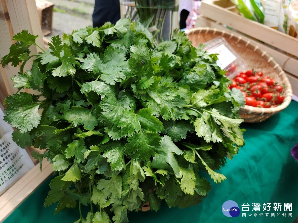 彰化北斗地區特產「香菜」與啡結合,極富巧思創意。圖/記者鄧富珍攝