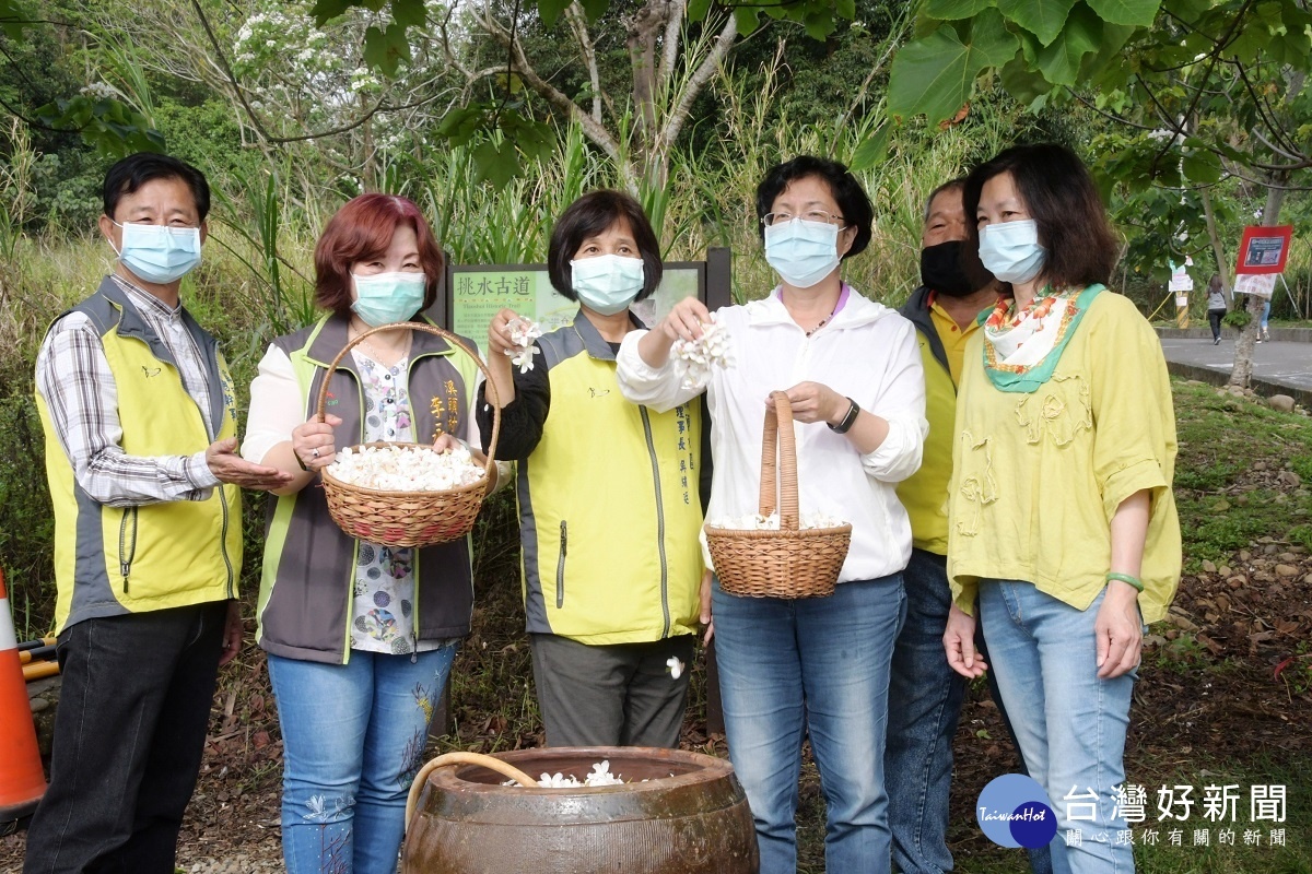 彰化縣長王惠美、芬園鄉溪頭社區發展協會理事長吳繡廷、大竹社區理事長許嘉鏞等人前往芬園「挑水古道」登山健行賞桐。