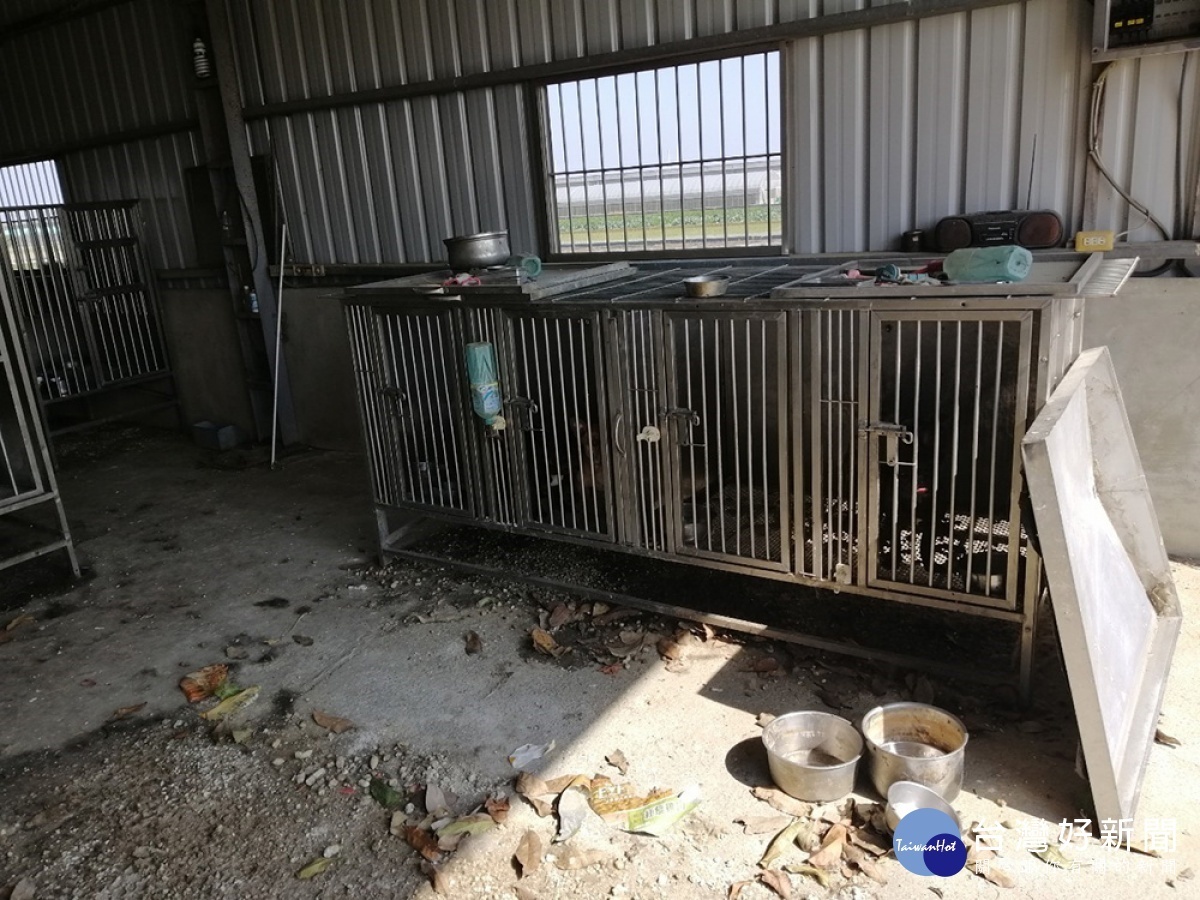 嘉義縣家畜所查獲民眾不當飼養犬貓,依法開罰9萬8000元/嘉義縣府提供