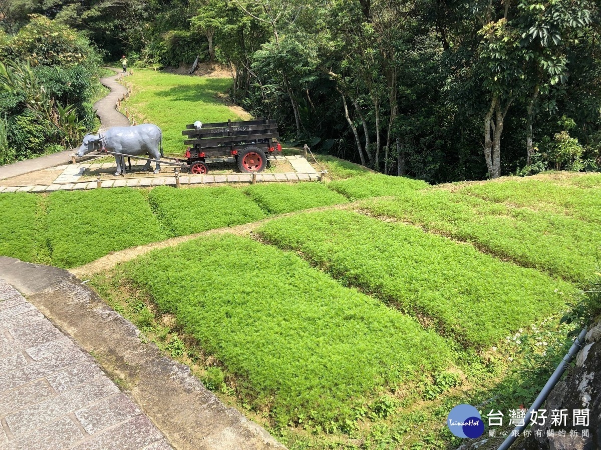 與牛車共舞（圖／台北市大地處提供）