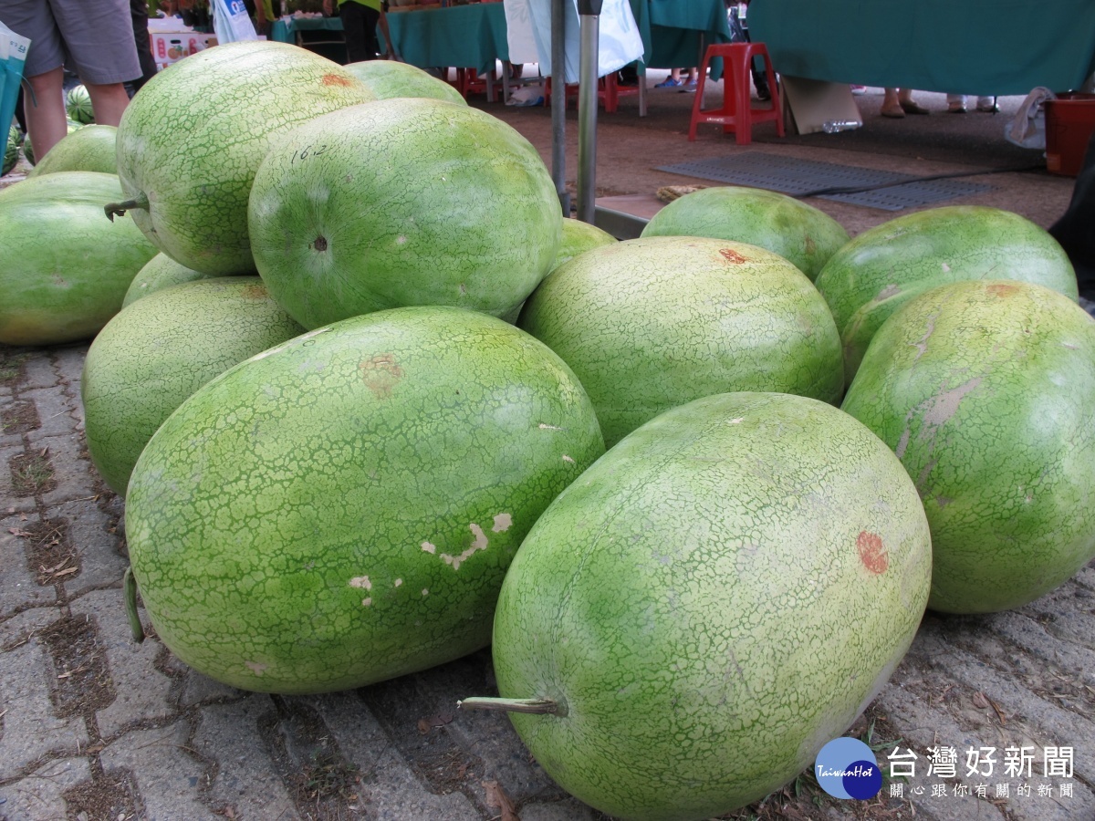 國產大西瓜正值產期多汁味美。(農糧署提供)
