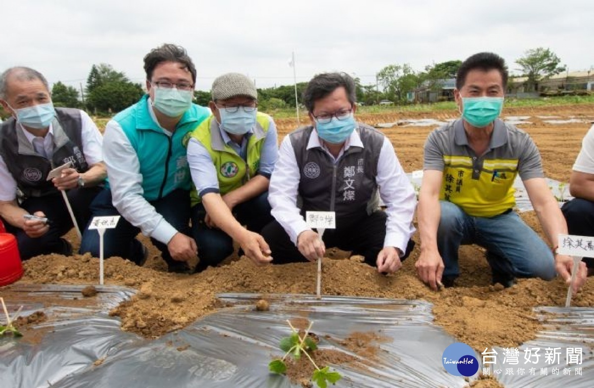 桃園市長鄭文燦前往大園區溪海休閒農業區,視察西瓜農事體驗。