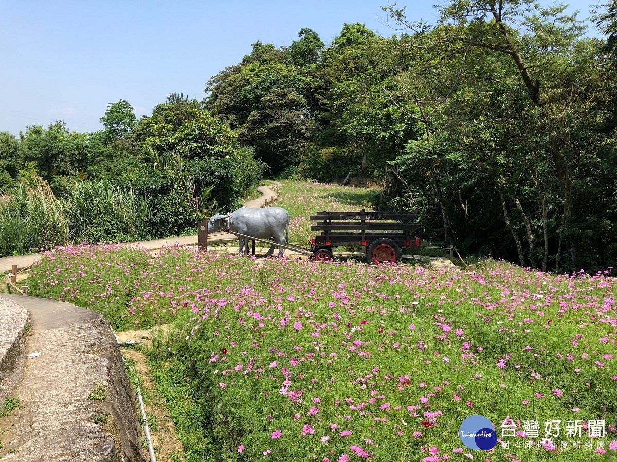 樟樹步道沿途可見牛車、阿公的腳踏車、轉轉穀倉等意象，悠閒體驗農村的風采。（圖／台北市大地處提供）