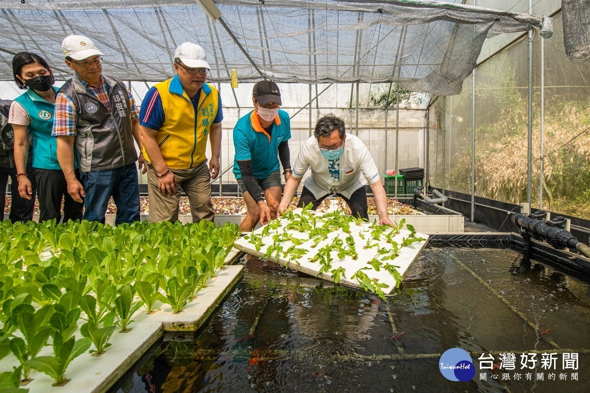 桃園市長鄭文燦前往大古山休閒農業區內的双源魚菜蚯共生農場參訪,親自體驗各項農事。