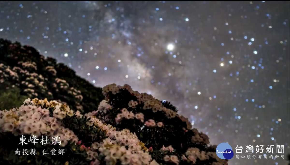 (照片擷取自馮業輝「TAIWAN 8K 60」。