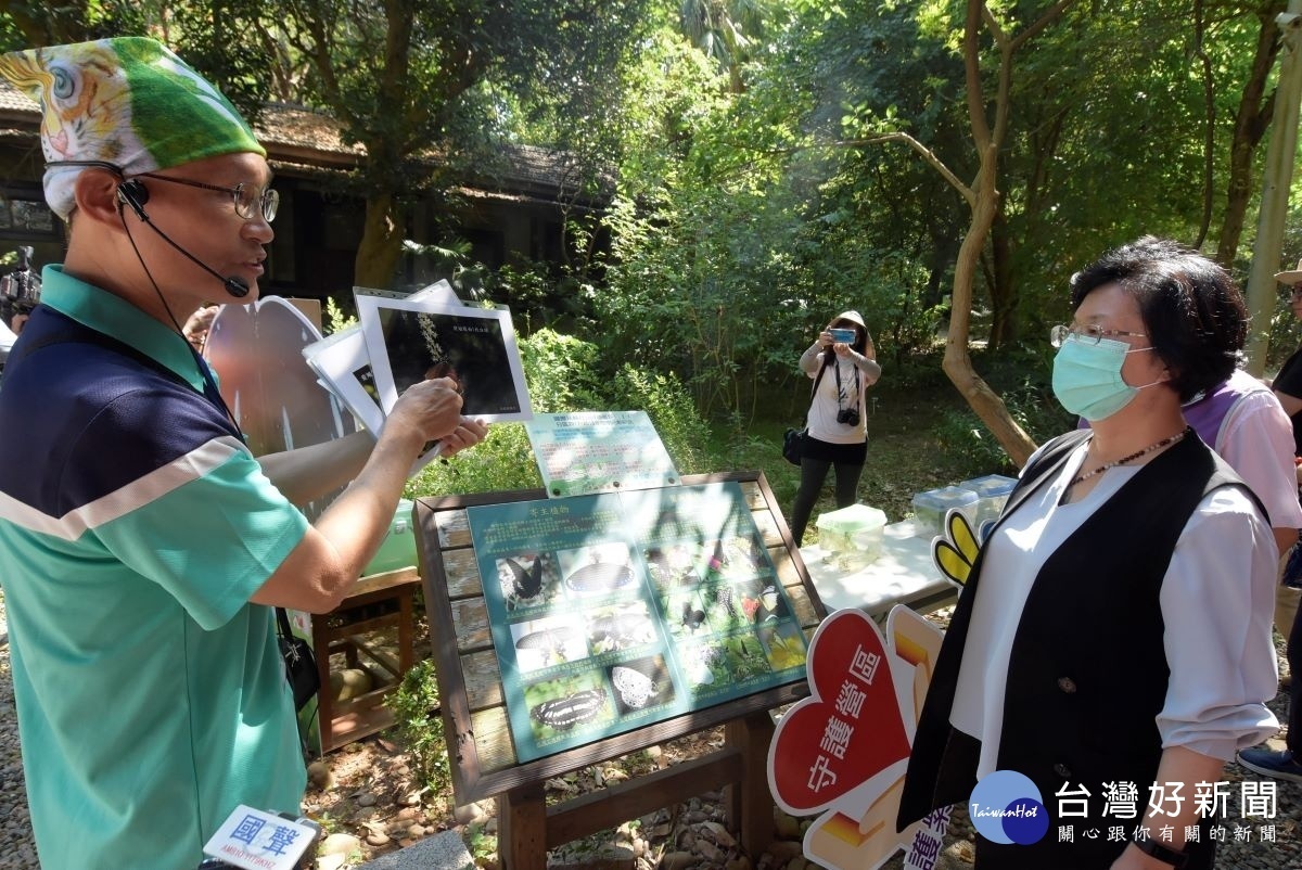 紫斑蝶回娘家賞蝶活動,導覽志工吳聰增介紹指出,成功營區綠色環境學習營地一年可以看到50多種蝴蝶,原生植物樹種豐富。圖/記者鄧富珍攝