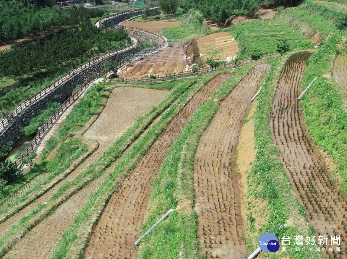 高處俯瞰梯田美景（圖／北市大地處提供）