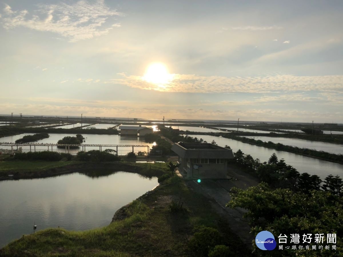 芳苑漢寶景色。