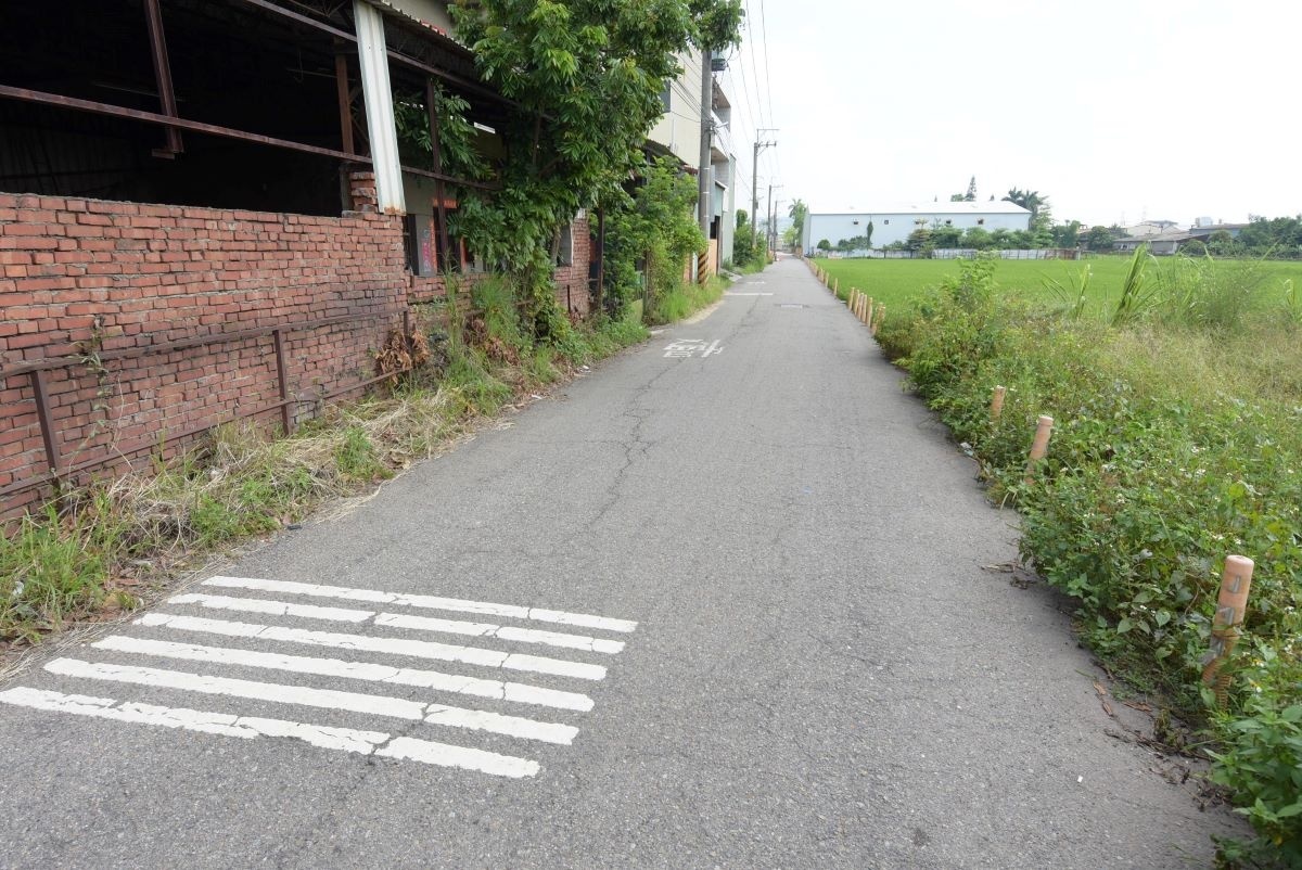 欲改善路段三竹路現況,雜草叢生。